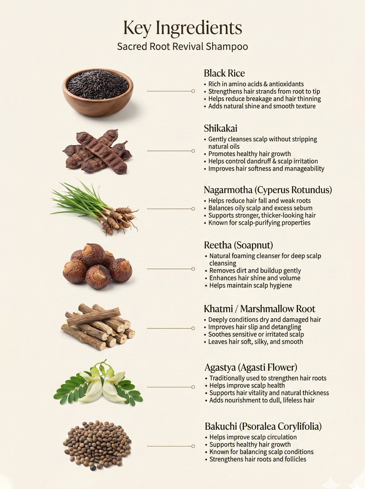 Sacred Root Revival Shampoo (200 ML)